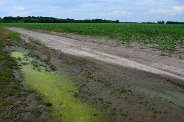 Residues of chemicals in puddles after treatment of fields with herbicides.
