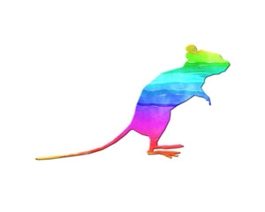 Rat Mouse symbol, LGBT Gay Pride Rainbow Flag icon logo illustration