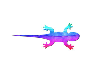 Lizard Gecko symbol, LGBT Gay Pride Rainbow Flag icon logo illustration