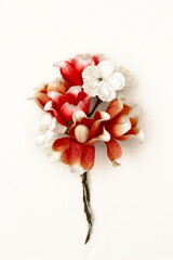 Red Flower on White Background