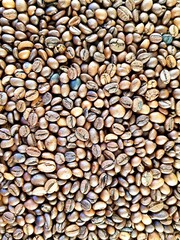 Brown coffee beans for coffee making