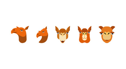 Illustrations of a camel face.  emojis of different camel face set