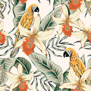 Parrots, banana palm leaves, orange orchid flowers, light background. Vector floral seamless pattern. Tropical illustration. Exotic plants, birds. Summer beach design. Paradise nature