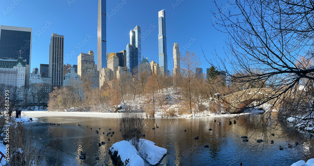 Wall mural Central Park in New York City in winter snow