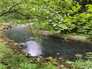 Protected landscape of the small river Kamacnik in Gorski kotar - Vrbovsko, Croatia (Zaštićeni krajolik rječice Kamačnik u Gorskom kotaru - Vrbovsko, Hrvatska)