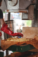 In einer mobilen Presse werden von einem zerkleinerte Äpfel zum Auspressen vorbereitet