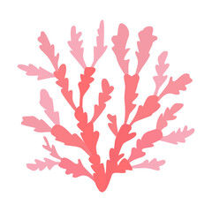 Red algae seaweed in pink tones