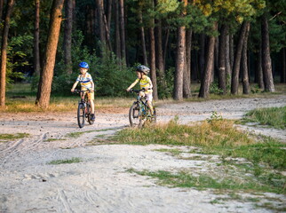 Two active little sibling boys having fun on bikes in forest on warm day.