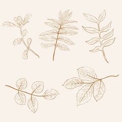 Set of hand-drawn vectors in the clean and modern line style