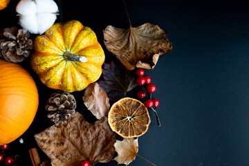 Pumpkin, dry orange slice and leaves on black background, concept idea for autumn or Thanksgiving theme