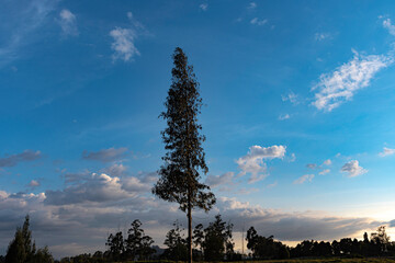 atardecer veraniego desde la capital salinera de Colombia, Zipaquirá Colombia, en la sabana de...