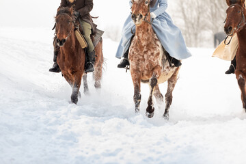 riders in vintage clothing overcome a snowy field on horseback. Close-up of stallions. High snow....