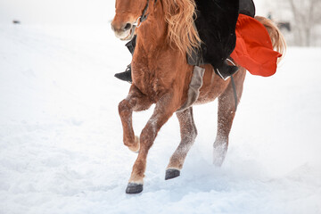 riders in vintage clothing overcome a snowy field on horseback. Close-up of stallions. High snow....