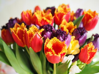 beautiful bouquet of colorful tulips, spring time