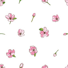 Seamless pattern of apple tree flowers