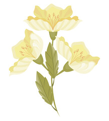 yellow tea flower