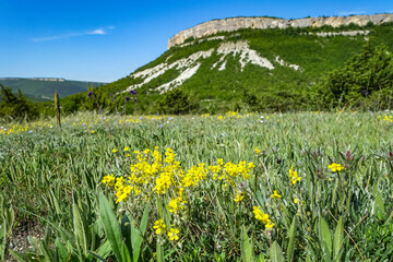 View of the picturesque Crimean mountains near the cave town of Tepe-Kermen Crimea Russia