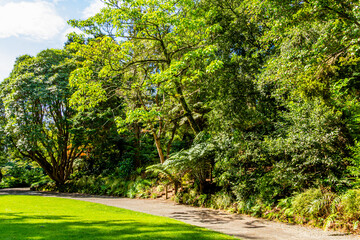 Fototapeta na wymiar Views while walking around the gardens. Pukekura Park, Taranaki, New Zealand