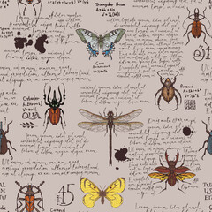 Seamless pattern with various insects and handwritten latin text Lorem Ipsum. Colored hand-drawn butterflies, beetles, dragonfly on beige backdrop. Vector background, wallpaper, wrapping paper, fabric