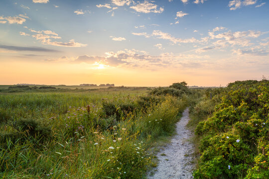 Naturschutzgebiet Flinth&ouml;rn auf der Nordseeinsel Langeoog, Ostfriesische Inseln, Deutschland