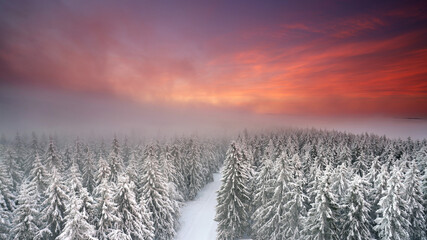 Nebel über dem Winterwald