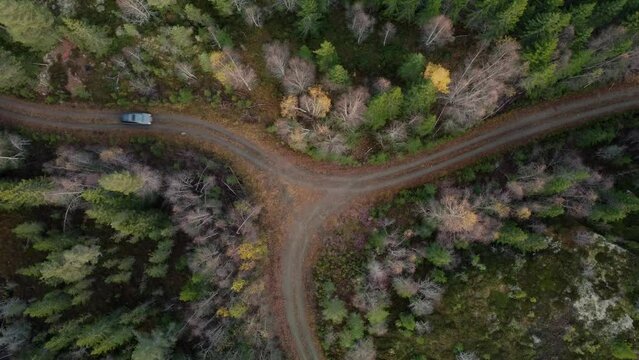 Forest Crossroad Land Rover Mountain road 4K Drone