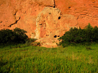 Meadow at sunrise at Garden of the Gods in Colorado