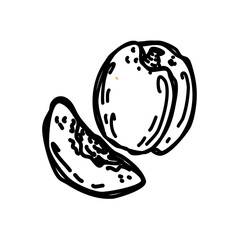 Vector illustration, peach isolated on white background.