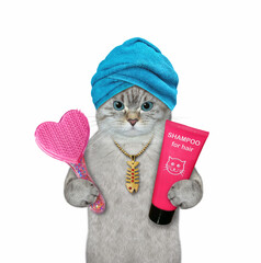 An ashen cat with a blue towel around his head holds a hairbrush and shampoo. White background....