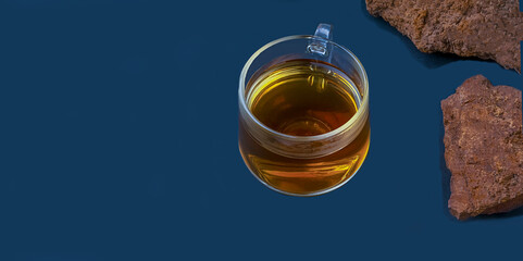 forest medicinal mushroom fungus chaga on a dark background