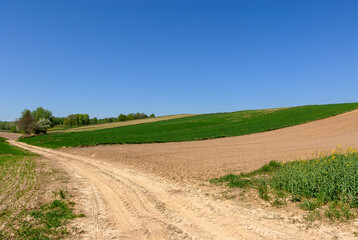 Unpaved road between fields, Poland