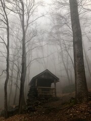 Spooky House in the foggy woods