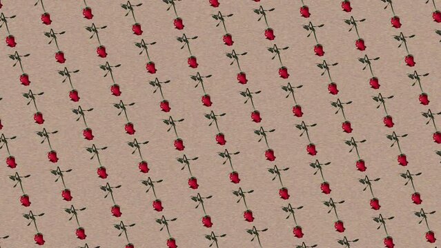 Colorful pattern of fresh red rose flowers with stem and leaves  isolated on trending natural beige pastel color animation background .4K Creative animation video footage.It slowly rotates and animate