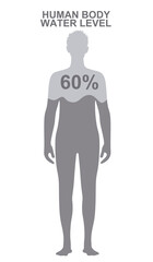 Human body water level. vector