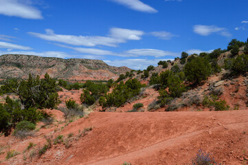 zion national park