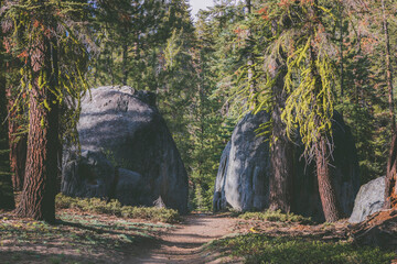 Scenery located in Yosemite National Park.