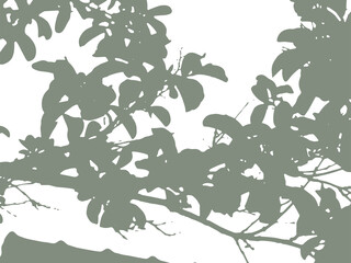 Spring foliage silhouette overlay texture. Branches with leaves vector background pattern.