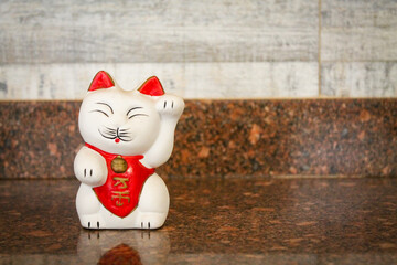 Gato oriental