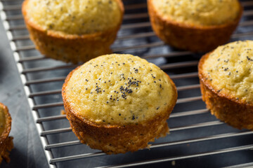 Homemade Lemon Poppyseed Muffins