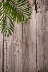 exotic leaves on old wooden background © Maya Kruchancova