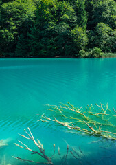 Fototapeta na wymiar Plitvice Lakes National Park in Croatia