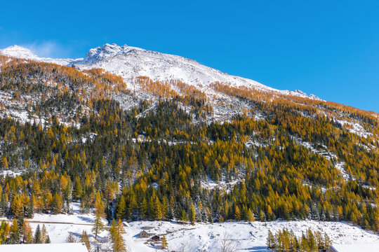The first snow on the slope of the Alpine mountains in golden autumn