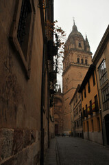 Fototapeta na wymiar Salamanca en un día nublado cerca de la catedral