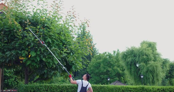 Back view of professional gardener working with electric hedge trimmer on backyard. Strong caucasian man cutting overgrown bushes during summer time.