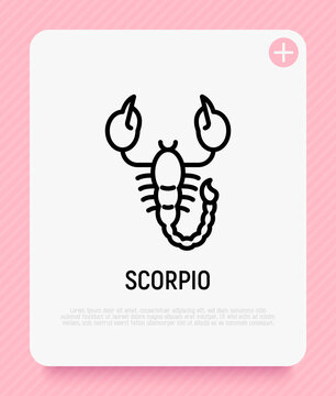 Scorpio thin line icon. Modern vector illustration of astrological sign for horoscope.