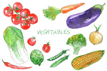 Set of vegetables hand drawn in watercolor and isolated on white background. Illustrations of cherry tomato, Chinese cabbage, chili pepper, artichoke, carrot, eggplant, peas, onion, broccoli and corn.