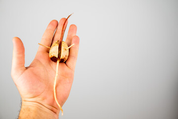 Fototapete bei efototapeten.de bestellen   