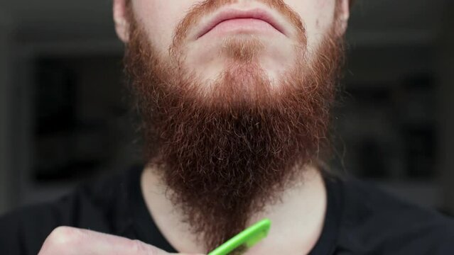 Close up of combing hair beard on face hipster. Man beard style.