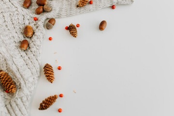 Flat lay with acorns, mountain ash, cones, grey sweater on  white