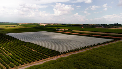 Aerial view of some fruit trees covered with a mesh